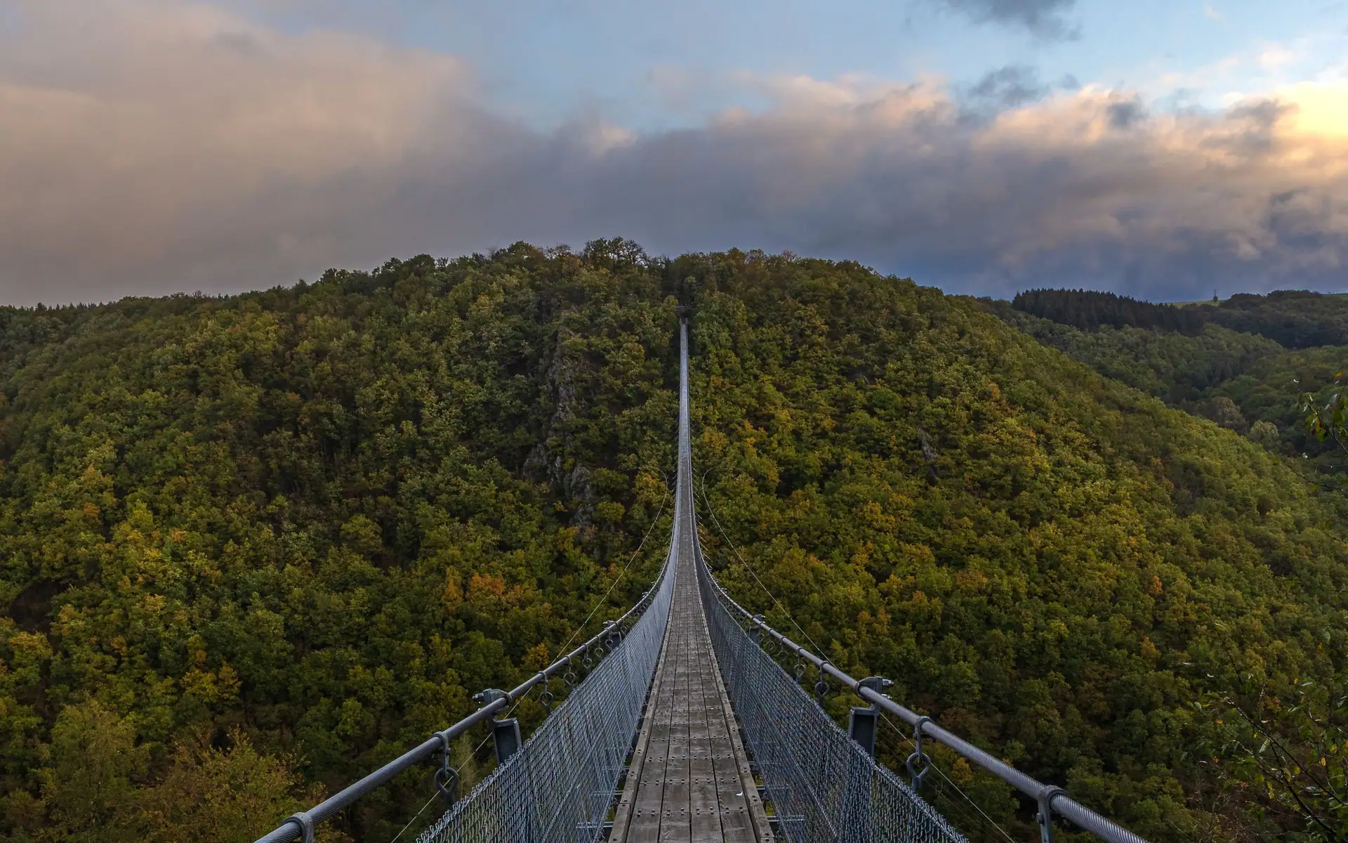 Hängeseilbrücke Geierlay über dem bewaldeten Tal bei Mörsdorf im Abendlicht